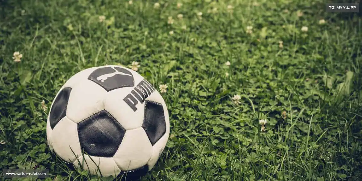 j9九游真人游戏第一品牌——🎳保龄球，一击全中的畅快体验！